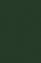 Пушистый ковровая Дорожка COLIZEY P000 GREEN